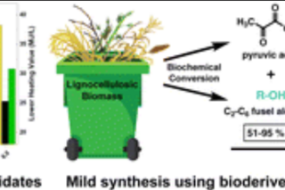diesel fuels graphical abstract